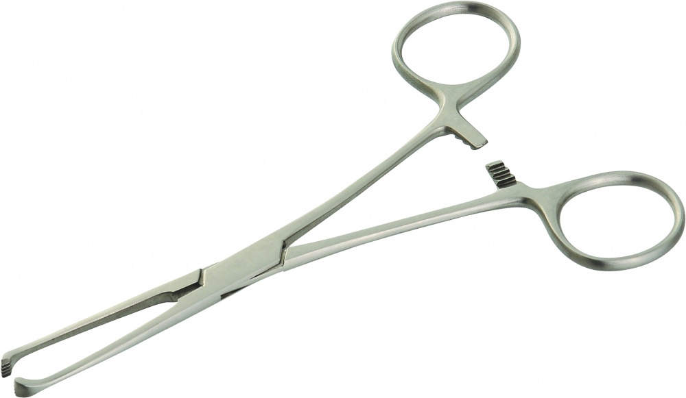 INSTRUMENT TISSUE FORCEP OLTEN